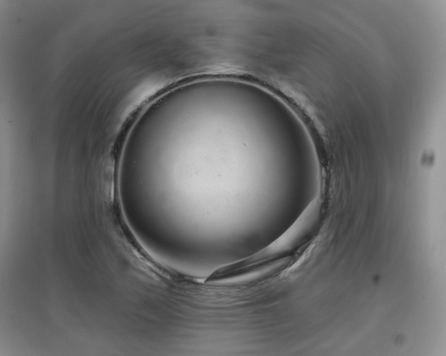 X0000097871171200803141251