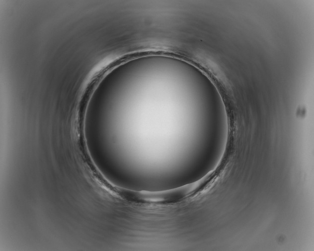 X0000097871172200803141251