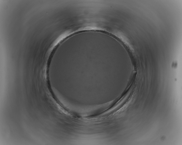 X0000097871173200803141251