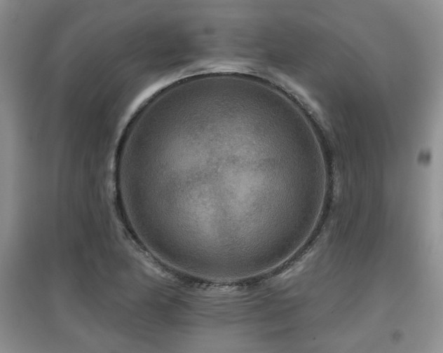 X0000097871174200803141251