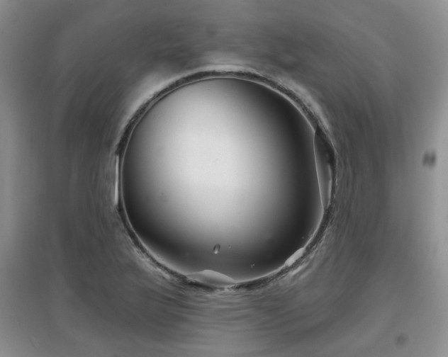 X0000097871175200803141251