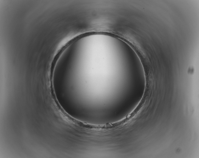 X0000097871176200803141251