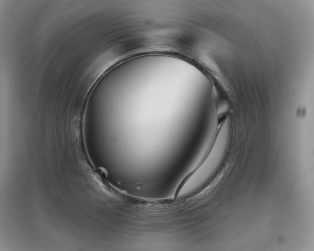X0000097871177200803141251