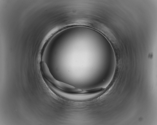 X0000097871180200803141251