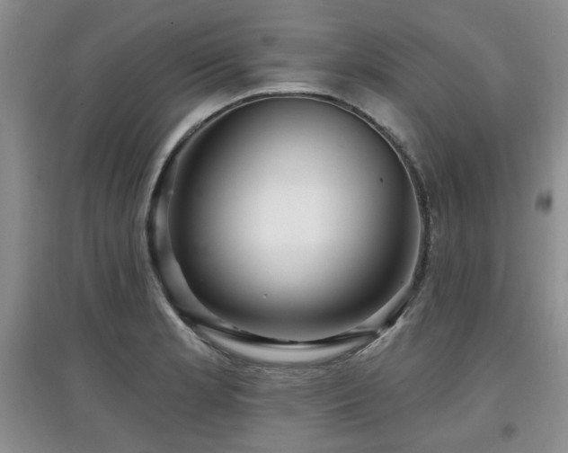 X0000097871181200803141251