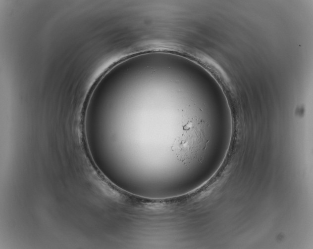 X0000097871182200803141251