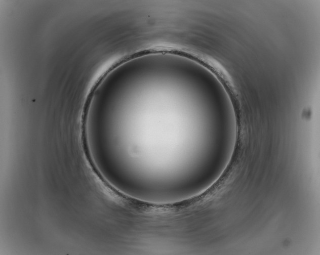 X0000097871183200803141251