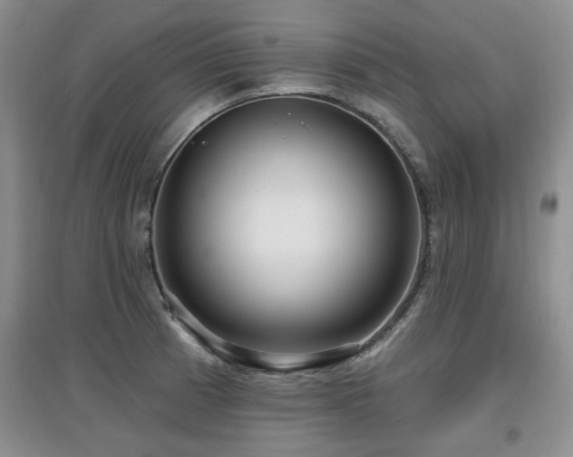 X0000097871185200803141251
