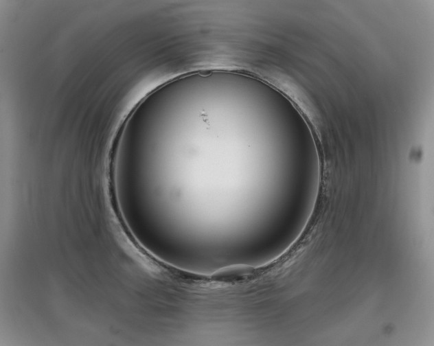 X0000097871187200803141251