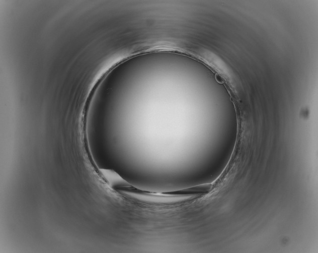 X0000097871190200803141251