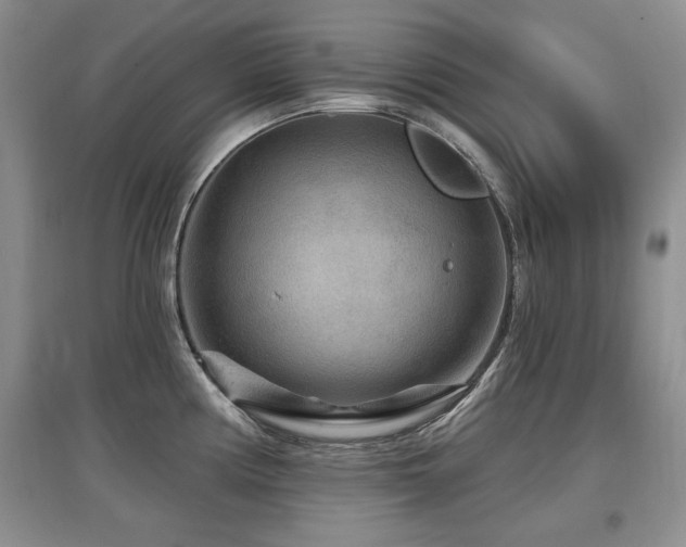 X0000097871194200803141251