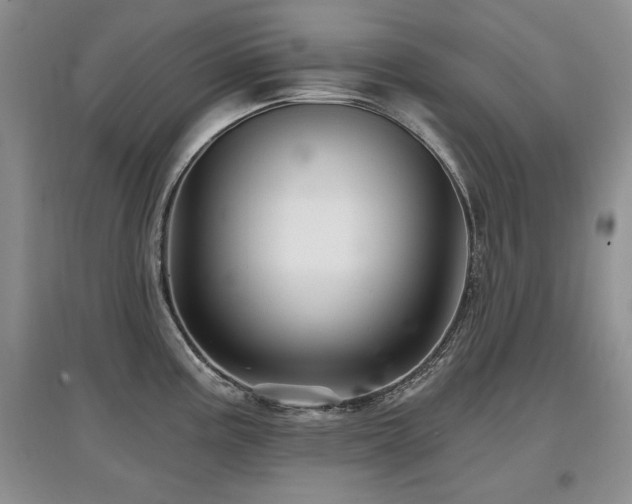 X0000097871195200803141251