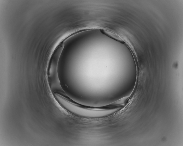 X0000097871197200803141251