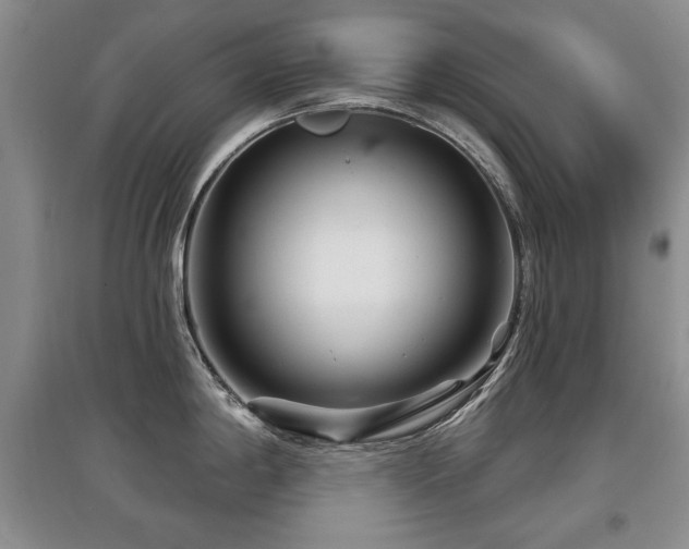 X0000097871198200803141251