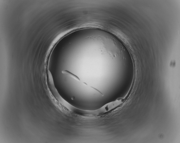X0000097871200200803141251