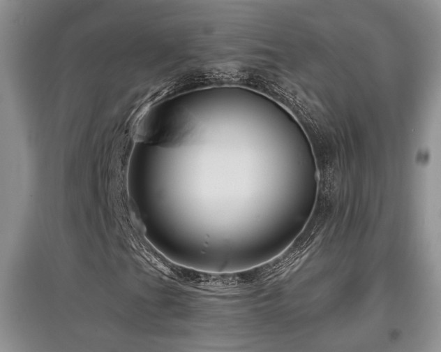 X0000097871201200803141250