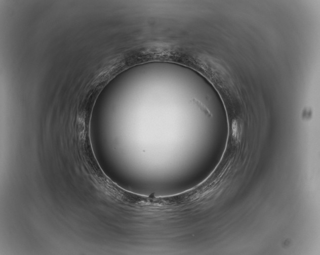 X0000097871203200803141250