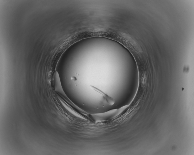 X0000097871204200803141250