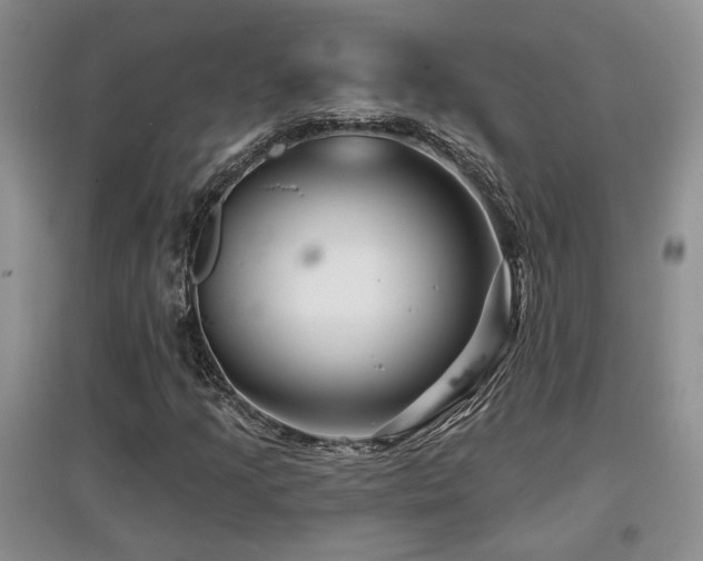 X0000097871205200803141250