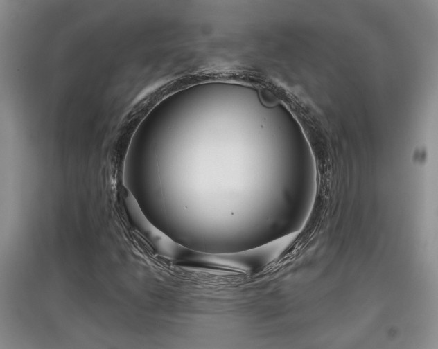 X0000097871206200803141250
