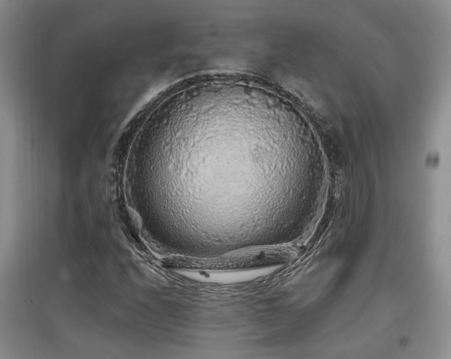 X0000097871208200803141250