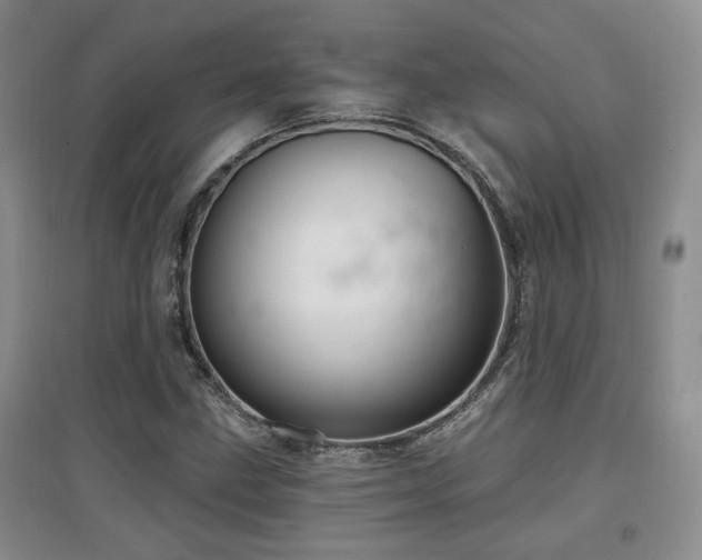 X0000097871211200803141250