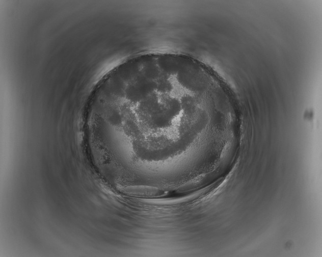 X0000097871213200803141251