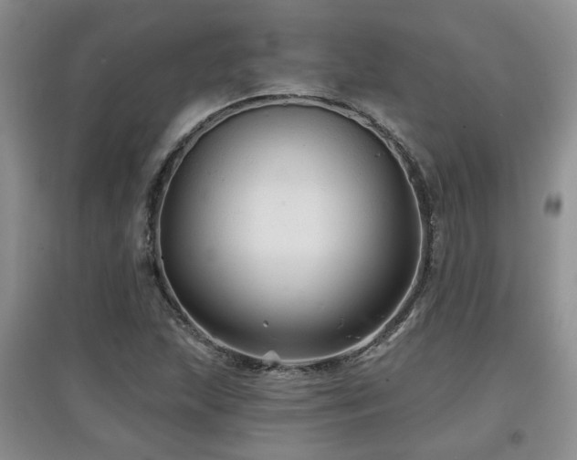X0000097871215200803141251