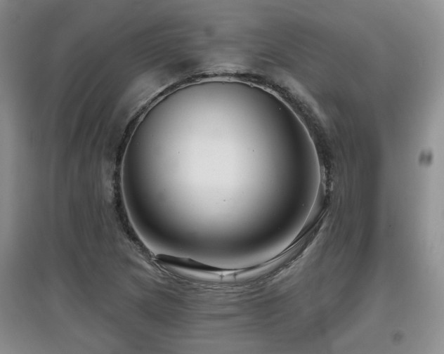 X0000097871217200803141251