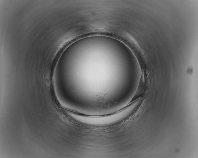 X0000097871218200803141251