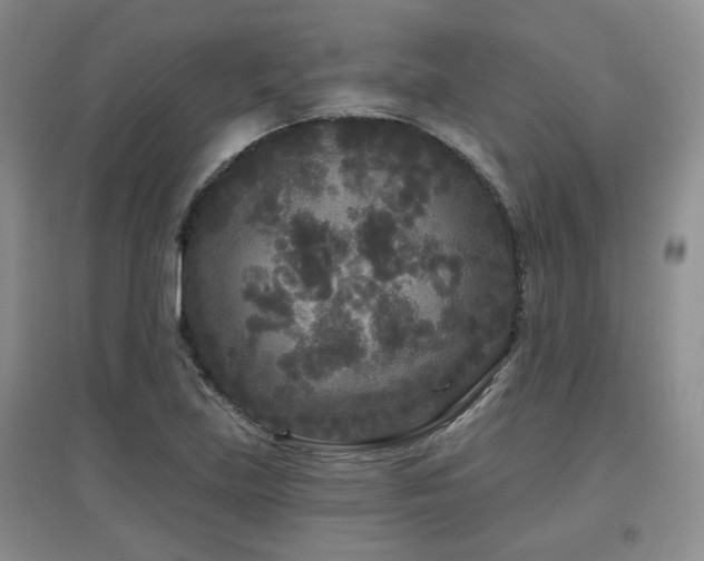 X0000097871219200803141251