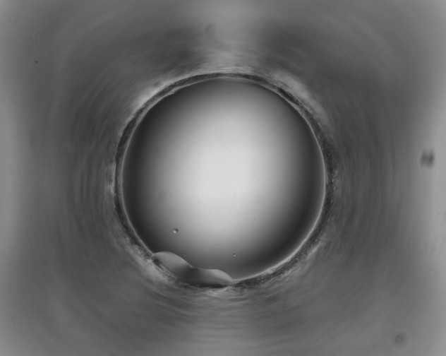 X0000097871220200803141251