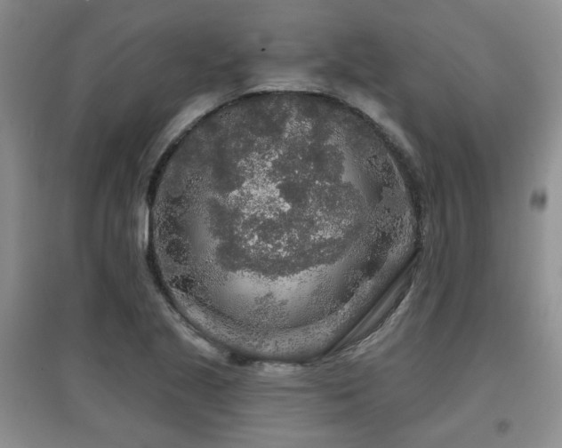 X0000097871221200803141251