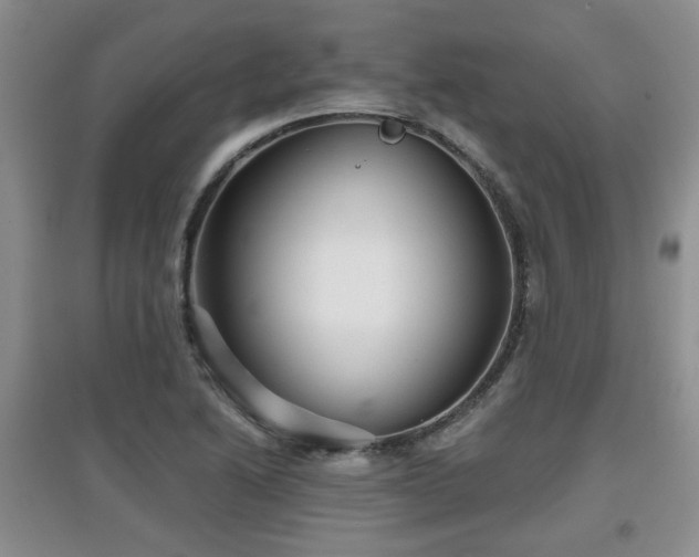 X0000097871222200803141251