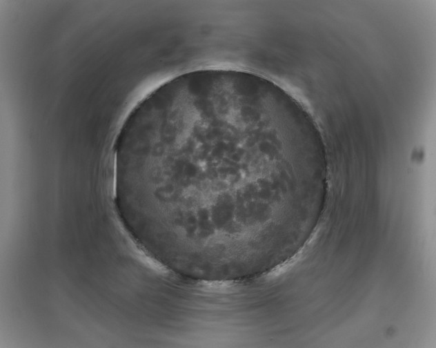 X0000097871223200803141251