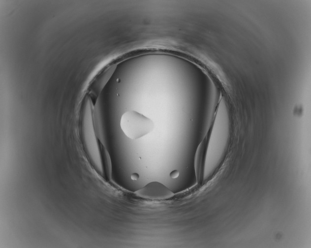 X0000097871224200803141251