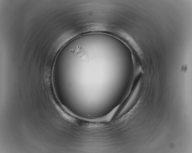 X0000097871225200803141251