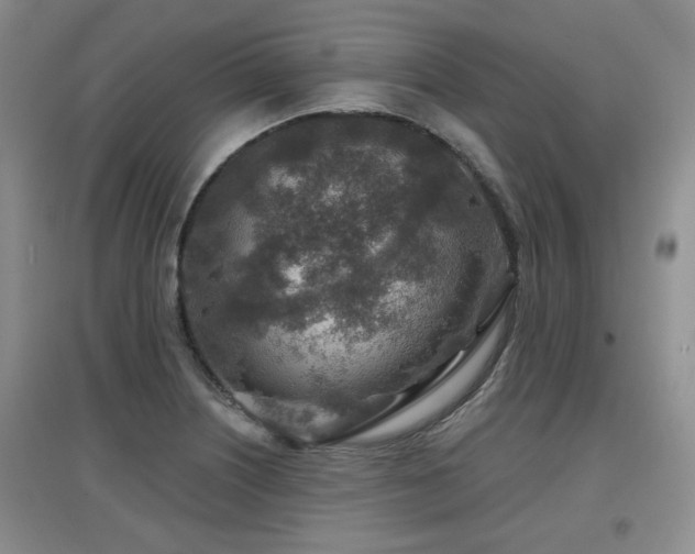 X0000097871226200803141251