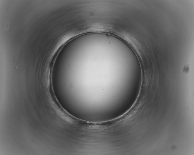 X0000097871227200803141251