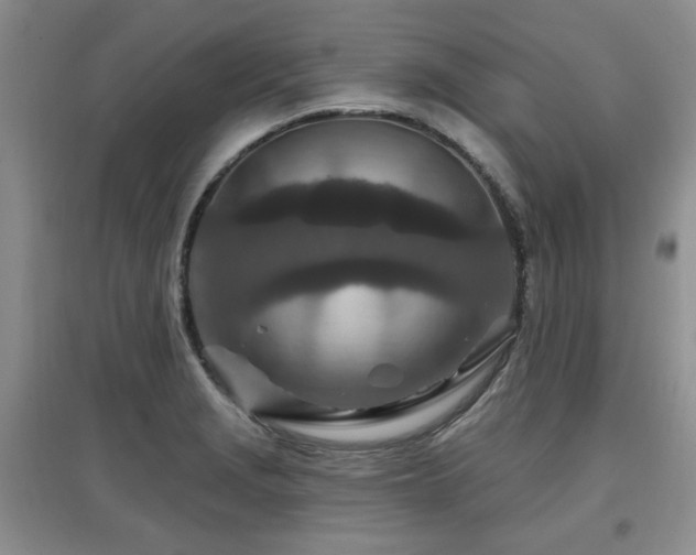 X0000097871229200803141251