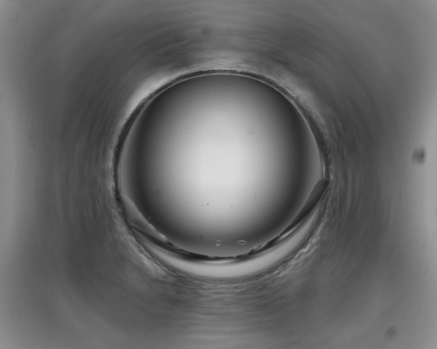 X0000097871230200803141251