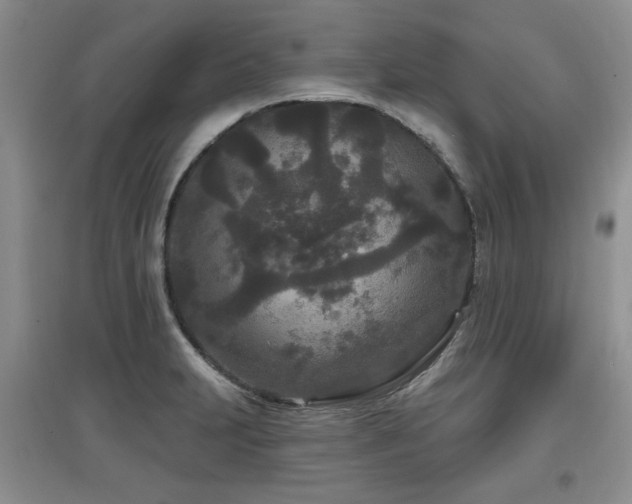 X0000097871231200803141251