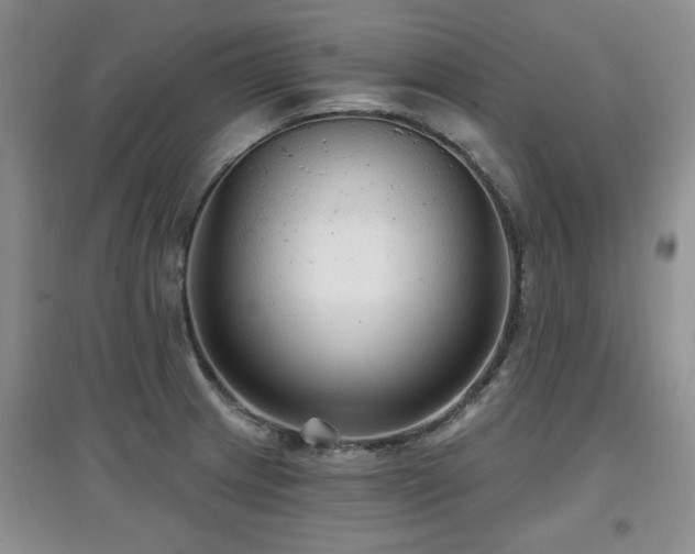 X0000097871233200803141251