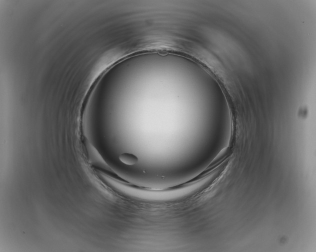 X0000097871234200803141251
