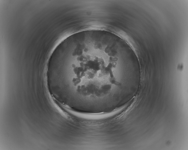 X0000097871235200803141251