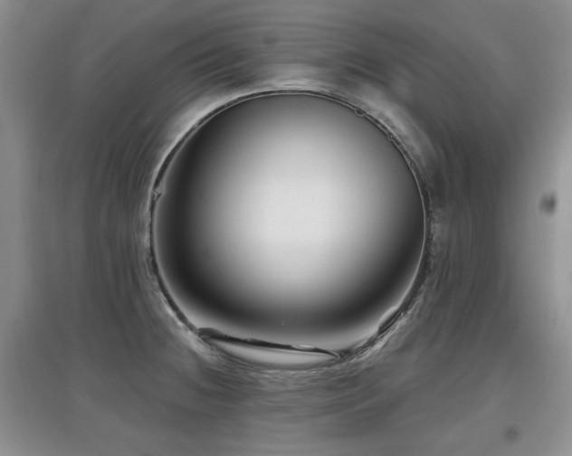 X0000097871236200803141251