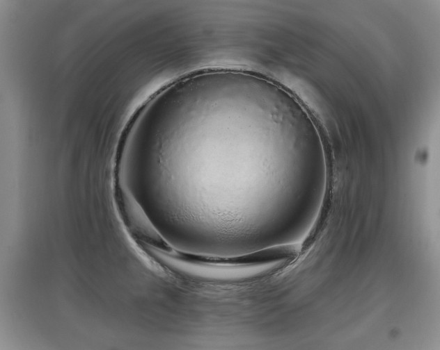 X0000097871237200803141251