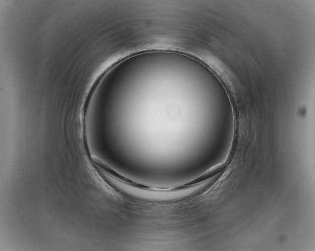 X0000097871238200803141251
