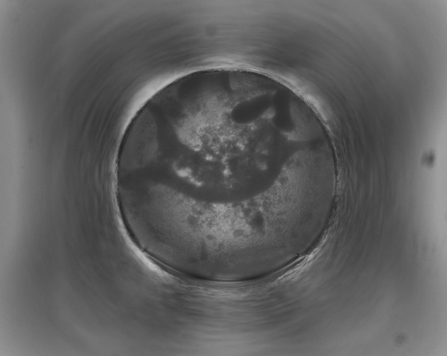 X0000097871239200803141251