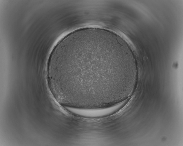 X0000097871240200803141251